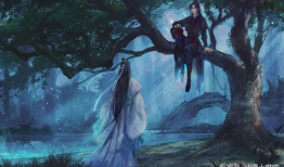 动漫靠比视频,跟随视频探索奇幻世界